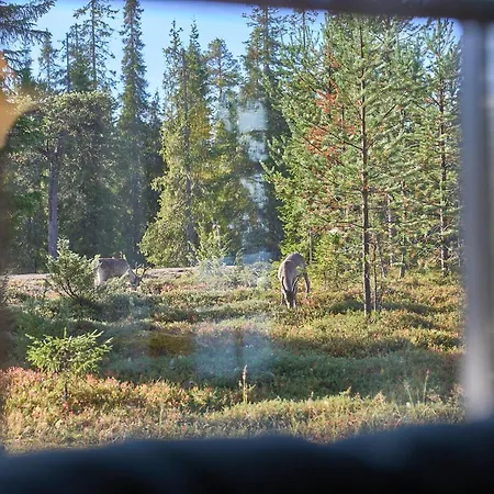 Διαμέρισμα Rukan Havu - Ski-in With Sauna & Fireplace, 100m To Slopes